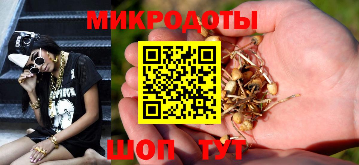Галлюциногенные грибы Psilocybe  Галлюциногенные грибы Magic Shrooms  Электрогорск  Вход с VPN 